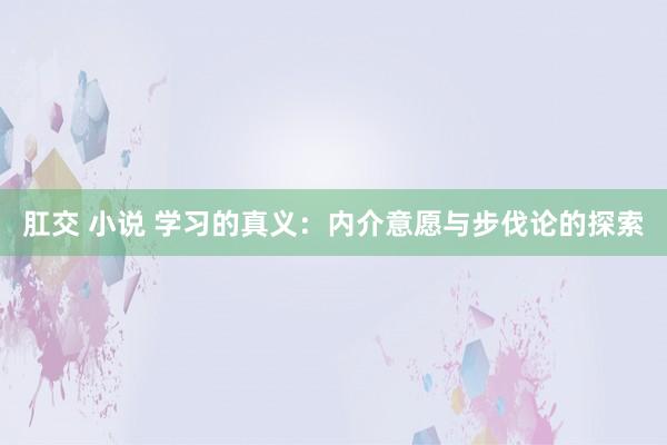 肛交 小说 学习的真义：内介意愿与步伐论的探索