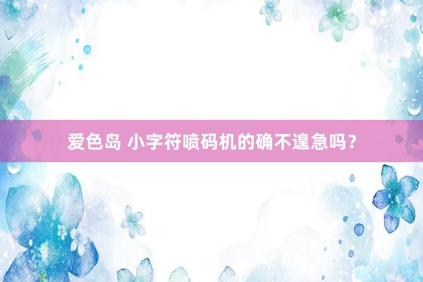 爱色岛 小字符喷码机的确不遑急吗？