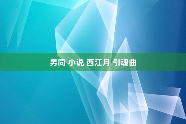 男同 小说 西江月 引魂曲