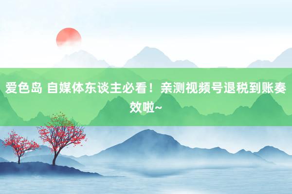 爱色岛 自媒体东谈主必看！亲测视频号退税到账奏效啦~