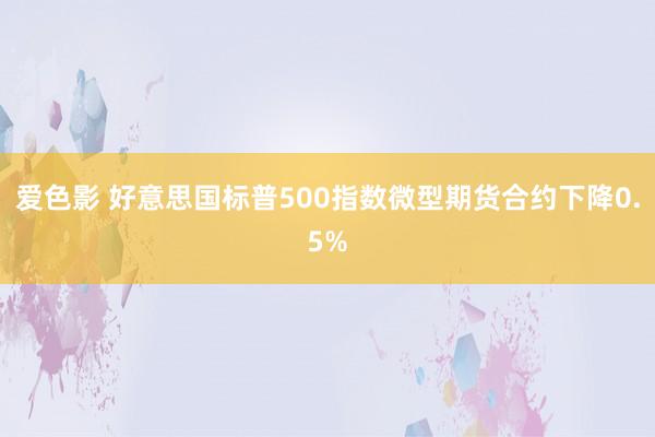 爱色影 好意思国标普500指数微型期货合约下降0.5%