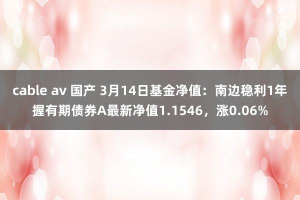 cable av 国产 3月14日基金净值：南边稳利1年握有期债券A最新净值1.1546，涨0.06%