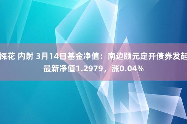 探花 内射 3月14日基金净值：南边颐元定开债券发起最新净值1.2979，涨0.04%