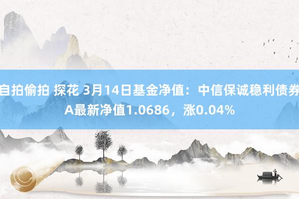 自拍偷拍 探花 3月14日基金净值：中信保诚稳利债券A最新净值1.0686，涨0.04%