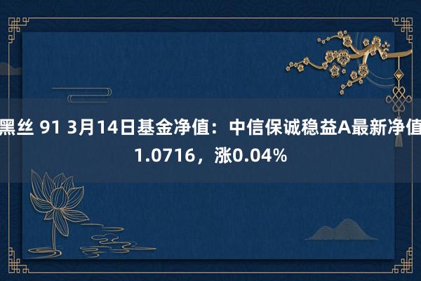 黑丝 91 3月14日基金净值：中信保诚稳益A最新净值1.0716，涨0.04%