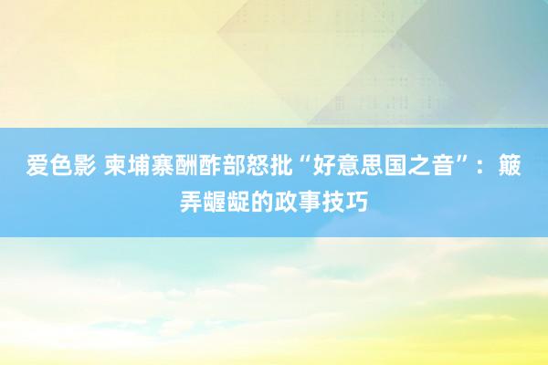 爱色影 柬埔寨酬酢部怒批“好意思国之音”：簸弄龌龊的政事技巧