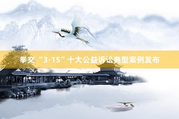 拳交 “3·15”十大公益诉讼典型案例发布