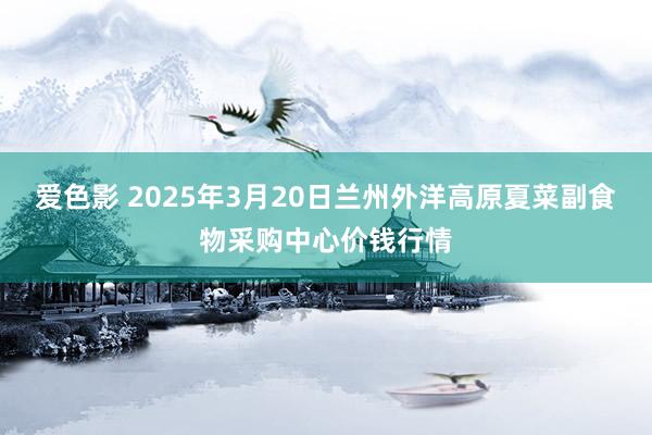 爱色影 2025年3月20日兰州外洋高原夏菜副食物采购中心价钱行情