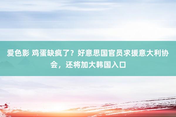 爱色影 鸡蛋缺疯了？好意思国官员求援意大利协会，还将加大韩国入口