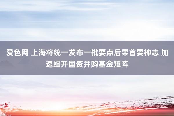 爱色网 上海将统一发布一批要点后果首要神志 加速组开国资并购基金矩阵