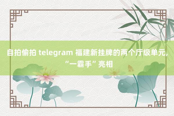 自拍偷拍 telegram 福建新挂牌的两个厅级单元， “一霸手”亮相