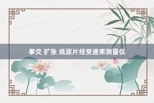 拳交 扩张 纸尿片经受速率测量仪