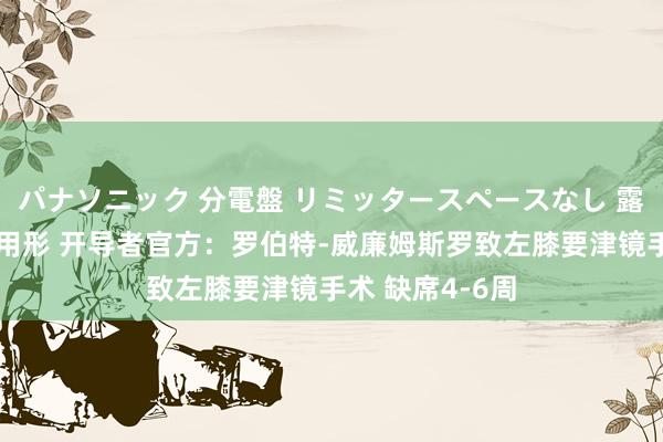 パナソニック 分電盤 リミッタースペースなし 露出・半埋込両用形 开导者官方：罗伯特-威廉姆斯罗致左膝要津镜手术 缺席4-6周