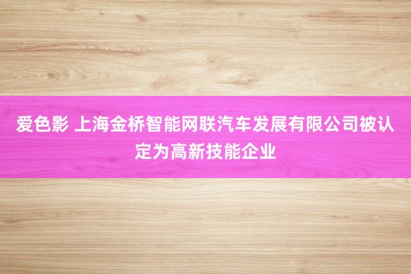 爱色影 上海金桥智能网联汽车发展有限公司被认定为高新技能企业