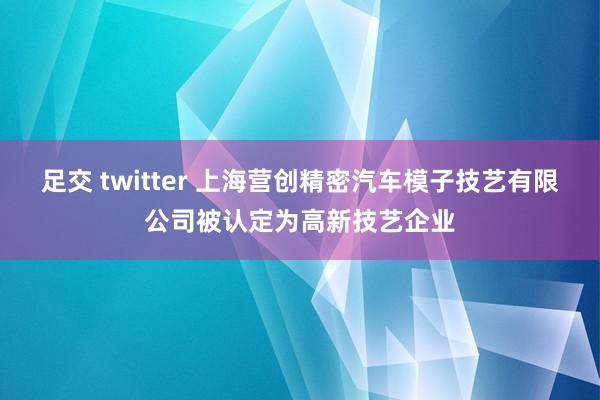 足交 twitter 上海营创精密汽车模子技艺有限公司被认定为高新技艺企业