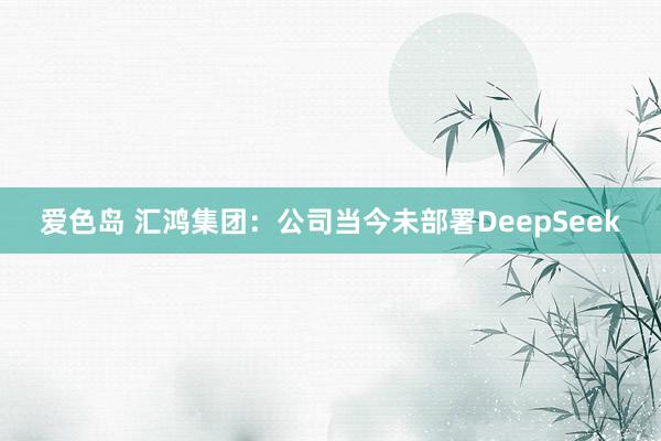 爱色岛 汇鸿集团：公司当今未部署DeepSeek