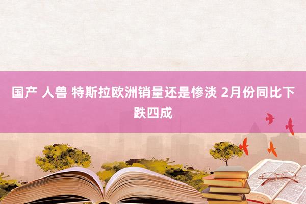 国产 人兽 特斯拉欧洲销量还是惨淡 2月份同比下跌四成