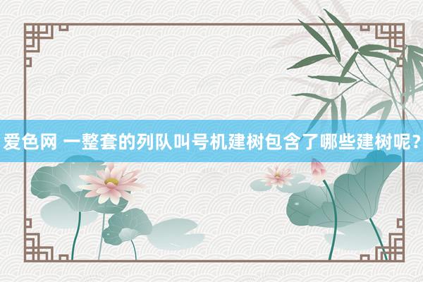 爱色网 一整套的列队叫号机建树包含了哪些建树呢？