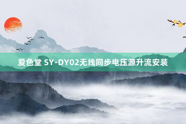 爱色堂 SY-DY02无线同步电压源升流安装
