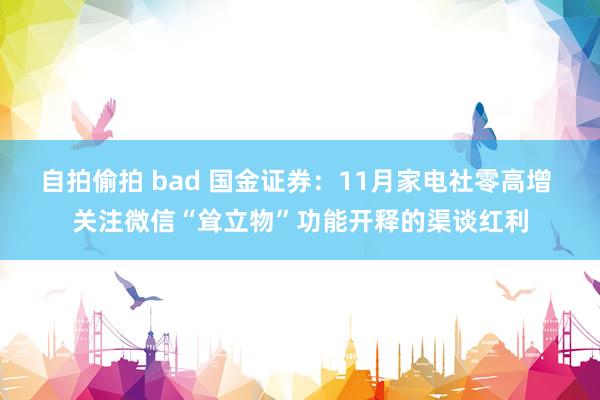 自拍偷拍 bad 国金证券：11月家电社零高增 关注微信“耸立物”功能开释的渠谈红利