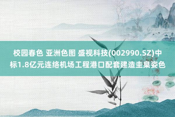 校园春色 亚洲色图 盛视科技(002990.SZ)中标1.8亿元连络机场工程港口配套建造圭臬姿色