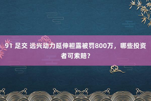 91 足交 远兴动力延伸袒露被罚800万，哪些投资者可索赔？
