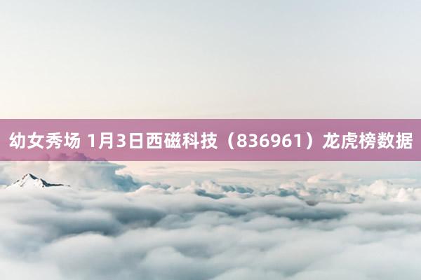 幼女秀场 1月3日西磁科技（836961）龙虎榜数据