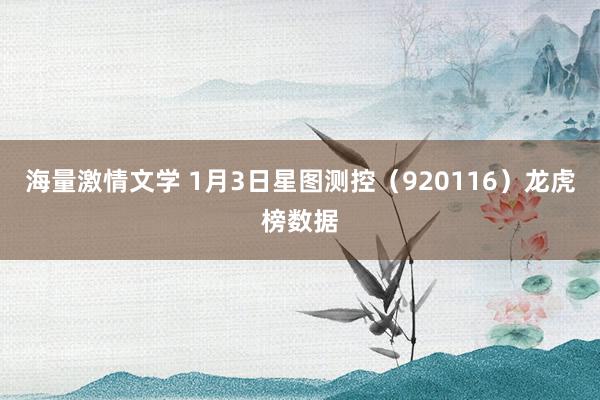海量激情文学 1月3日星图测控（920116）龙虎榜数据