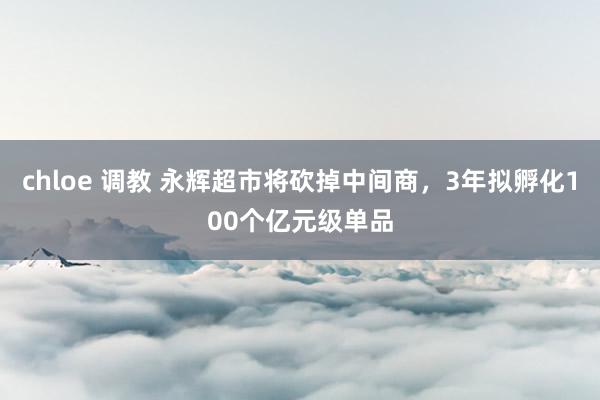 chloe 调教 永辉超市将砍掉中间商，3年拟孵化100个亿元级单品