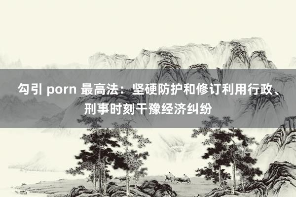 勾引 porn 最高法：坚硬防护和修订利用行政、刑事时刻干豫经济纠纷