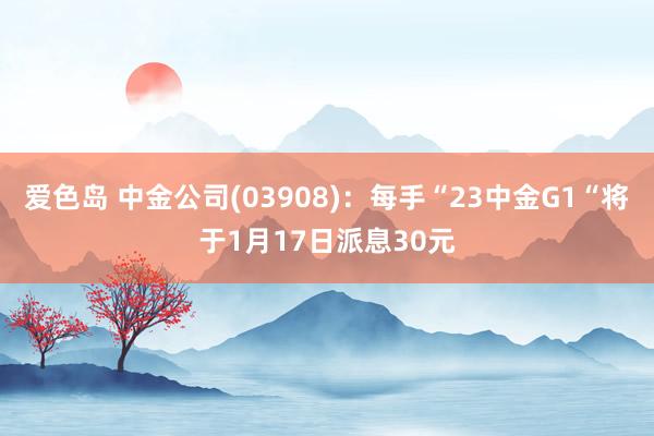 爱色岛 中金公司(03908):每手“23中金G1“将于1月17日派息30元