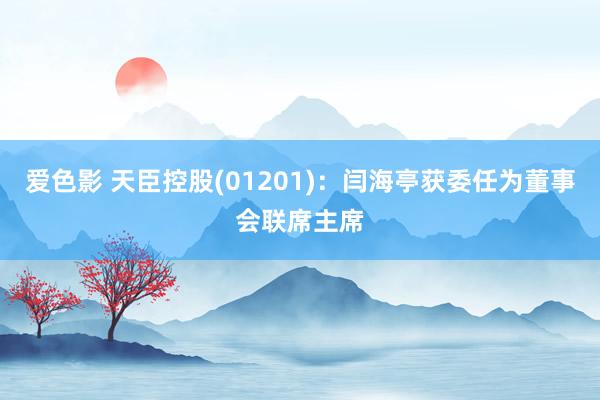 爱色影 天臣控股(01201)：闫海亭获委任为董事会联席主席
