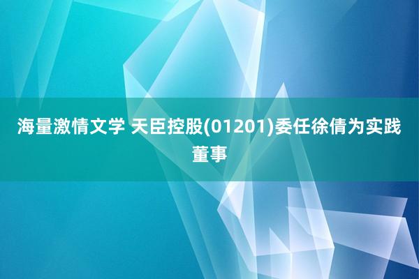 海量激情文学 天臣控股(01201)委任徐倩为实践董事