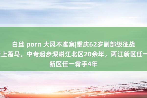 白丝 porn 大风不雅察|重庆62岁副部级征战段成刚任上落马，中专起步深耕江北区20余年，两江新区任一霸手4年