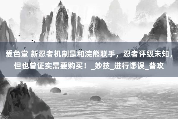 爱色堂 新忍者机制是和浣熊联手，忍者评级未知，但也曾证实需要购买！_妙技_进行谬误_普攻
