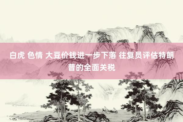 白虎 色情 大豆价钱进一步下落 往复员评估特朗普的全面关税
