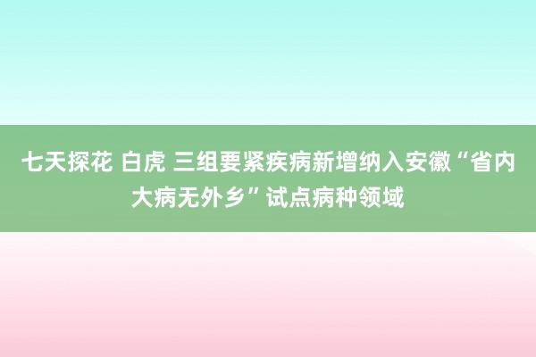 七天探花 白虎 三组要紧疾病新增纳入安徽“省内大病无外乡”试点病种领域