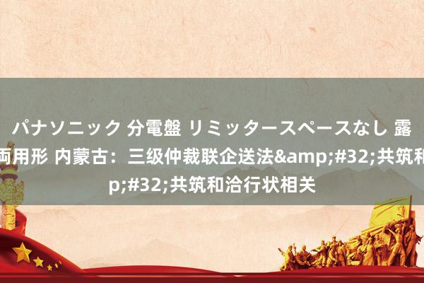 パナソニック 分電盤 リミッタースペースなし 露出・半埋込両用形 内蒙古：三级仲裁联企送法&#32;共筑和洽行状相关