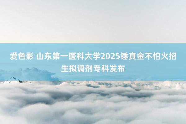 爱色影 山东第一医科大学2025锤真金不怕火招生拟调剂专科发布