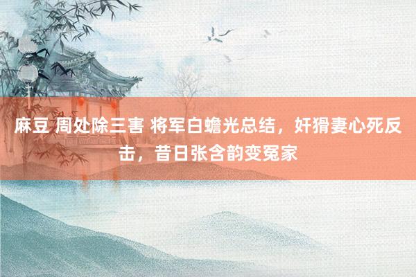 麻豆 周处除三害 将军白蟾光总结，奸猾妻心死反击，昔日张含韵变冤家