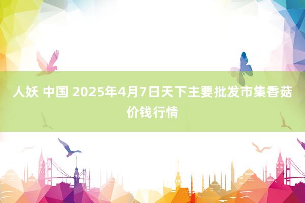 人妖 中国 2025年4月7日天下主要批发市集香菇价钱行情
