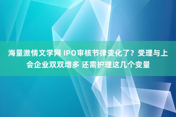 海量激情文学网 IPO审核节律变化了？受理与上会企业双双增多 还需护理这几个变量
