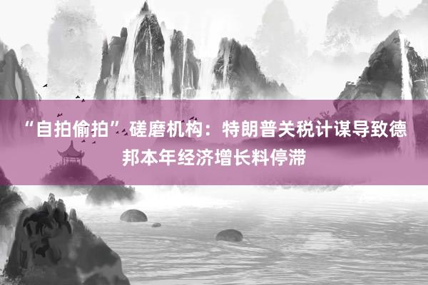 “自拍偷拍” 磋磨机构：特朗普关税计谋导致德邦本年经济增长料停滞