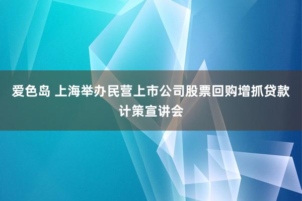 爱色岛 上海举办民营上市公司股票回购增抓贷款计策宣讲会