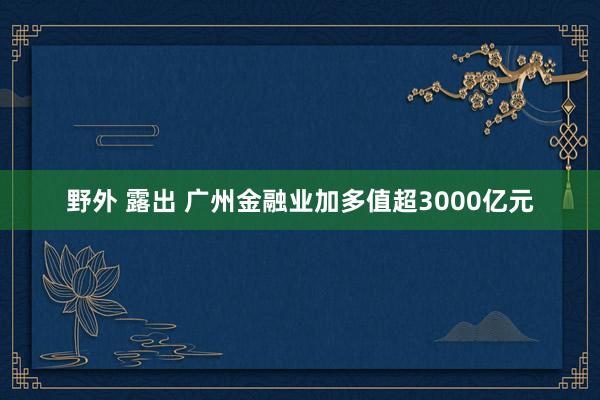 野外 露出 广州金融业加多值超3000亿元