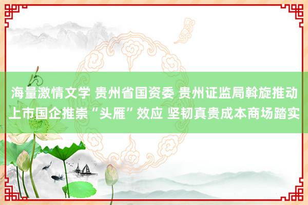 海量激情文学 贵州省国资委 贵州证监局斡旋推动上市国企推崇“头雁”效应 坚韧真贵成本商场踏实