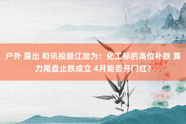 户外 露出 和讯投顾江加为：化工标的高位补跌 算力尾盘止跌成立 4月能否开门红？