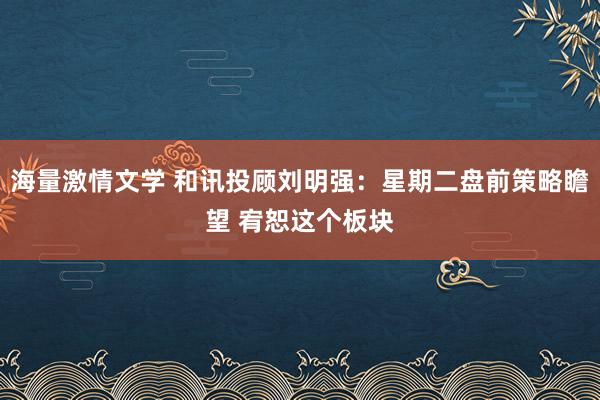 海量激情文学 和讯投顾刘明强：星期二盘前策略瞻望 宥恕这个板块