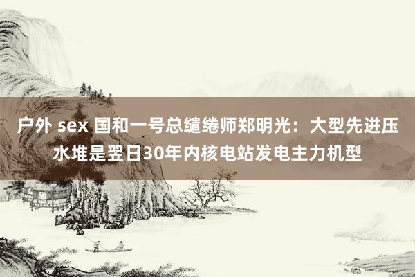 户外 sex 国和一号总缱绻师郑明光：大型先进压水堆是翌日30年内核电站发电主力机型