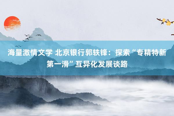 海量激情文学 北京银行郭轶锋：探索“专精特新第一滑”互异化发展谈路